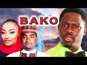 Bako - This Love Story Will Make You Fall In Love - Hausa Movies 2019
